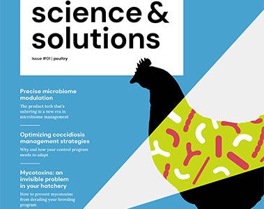 DSM Science & Solutions Issue #1 Poultry