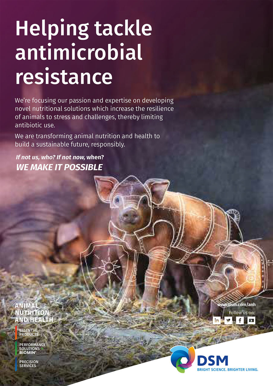 Advert Helping Tackle Antimicrobial Resistance Swine