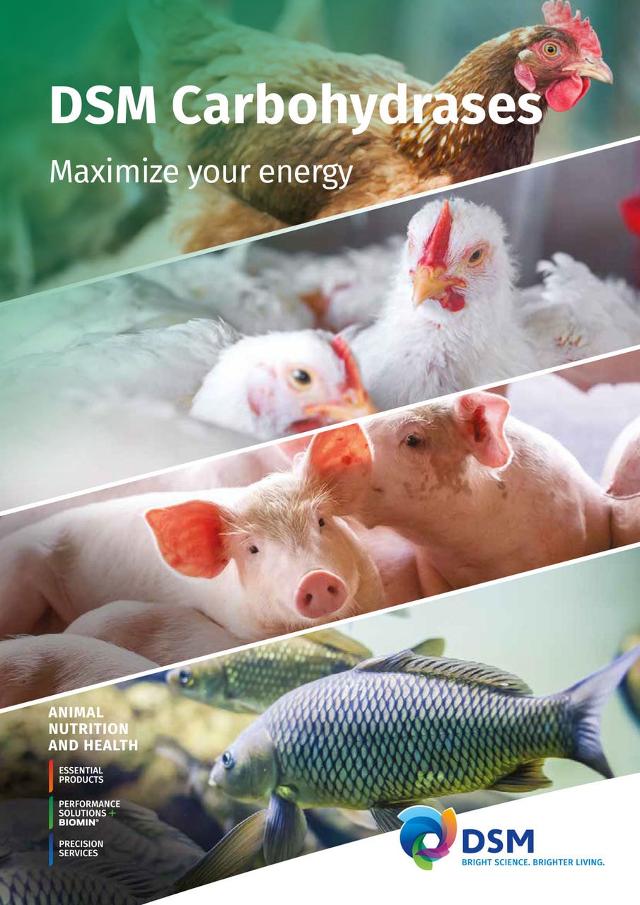 Animal Feed, Nutrition & Performance Solutions