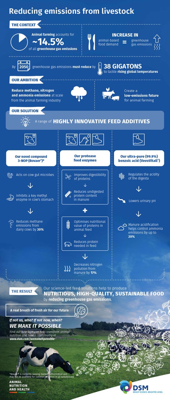 Infographic Reducing Emissions From Livestock