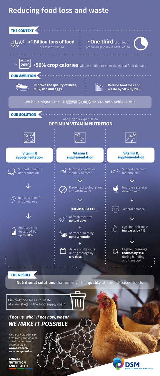 Infographic Reducing Food Loss And Waste