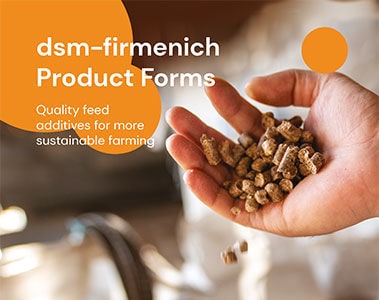 dsm-firmenich Product Forms: Quality feed additives for more sustainable farming