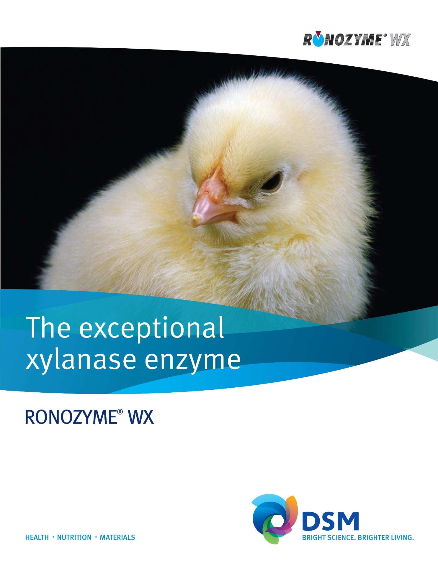 DSM RONOZYME® WX Brochure PDF