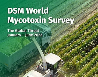 Download the dsm-firmenich World Mycotoxin Survey January to June 2023