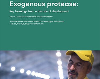 Exogenous Protease: Key Learnings