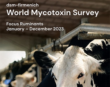 dsm-firmenich World Mycotoxin Survey Focus Ruminants January to December 2023 PDF