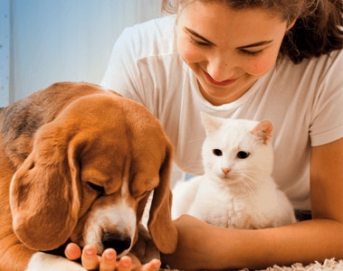 Ingredients For Pet Nutrition