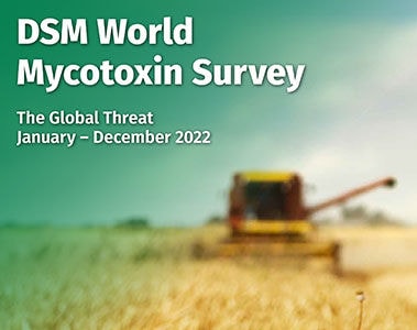 DSM World Mycotoxin Survey 2022 Report PDF