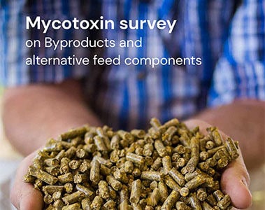 Feed By-product Mycotoxin Survey for Swine PDF