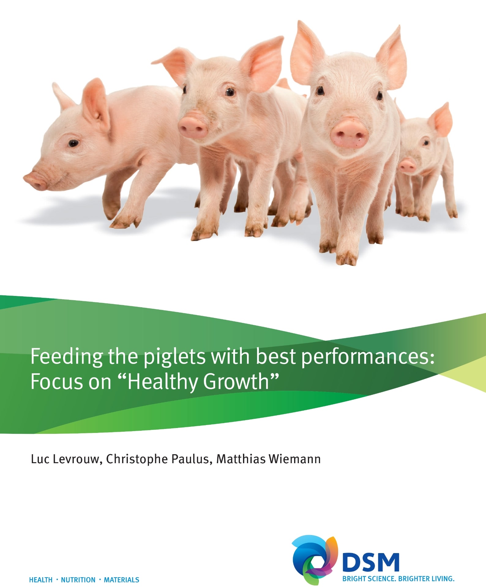 Feeding Piglets With Best Performances