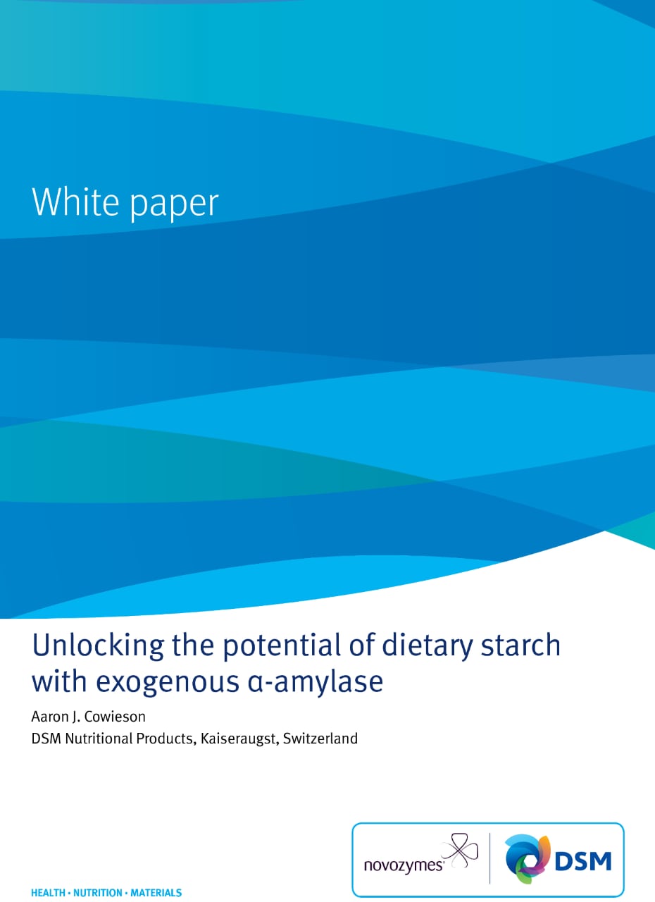 Unlocking potential of dietary starch with α-amylase