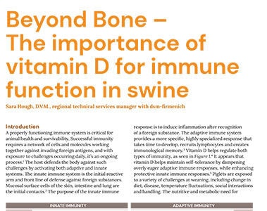 Role of vitamin D for immune function in swine