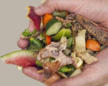 Designing out food loss and waste  | DSM Animal Nutrition & Health