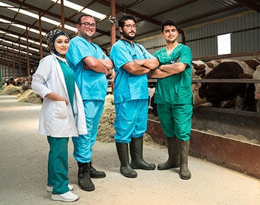Global Success to Reduce Antimicrobial Consumption in Farm Animals