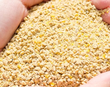 The Pigmentation of Poultry Products IV: The feed stability of extracted yellow carotenoids