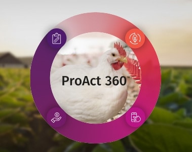 DSM-Novozymes Alliance launches its second-generation protease, ProAct 360™