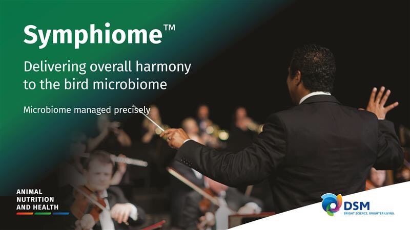 dsm-firmenich introduces microbiome metabolism modulator Symphiome™ to improve poultry health and sustainability