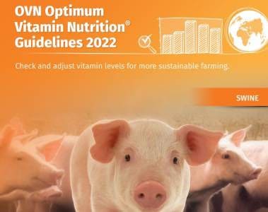 Nutrición Vitamínica Óptima (OVN™) - Guía 2022 para Cerdos