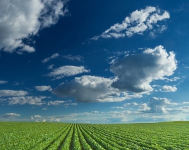 Reduciendo el impacto ambiental de la producción animal