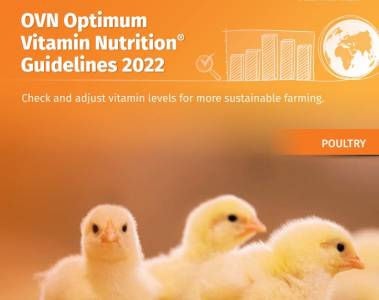 OVN Ótima Nutrição Vitamínica® Diretrizes 2022 para Aves