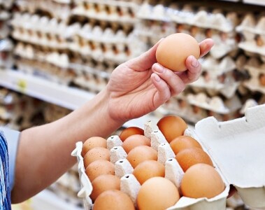 Perda e desperdício de alimentos: enfrentando um dos maiores problemas de sustentabilidade da humanidade