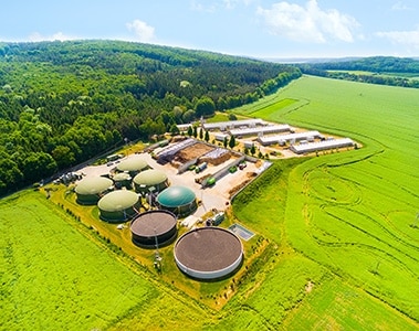 DSM Biogas