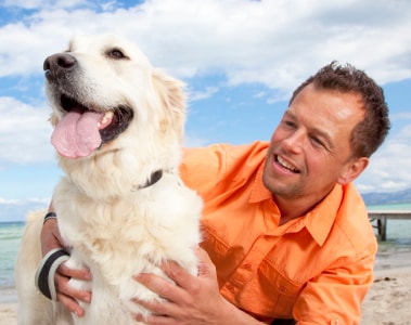 Helping improve the sustainability of the pet industry