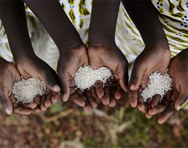 #FutureFortified: Working together to support global nutrition through fortified rice