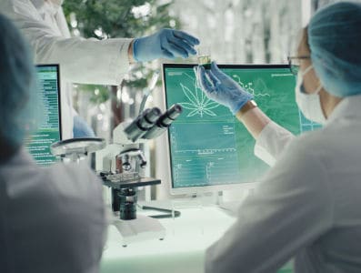 Navigating tomorrow: 5 lessons from the FDA’s 50 years of experience with cannabis research and product development | dsm-firmenich
