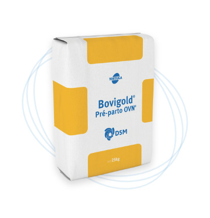 Bovigold® Pre-Parto OVN™