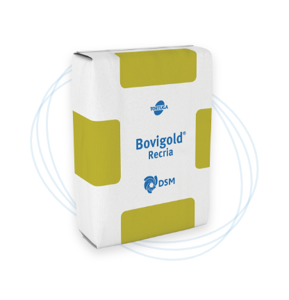 Bovigold® Recria