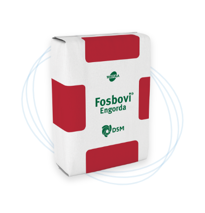 Fosbovi Engorda