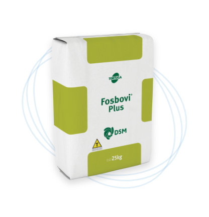 Fosbovi Plus