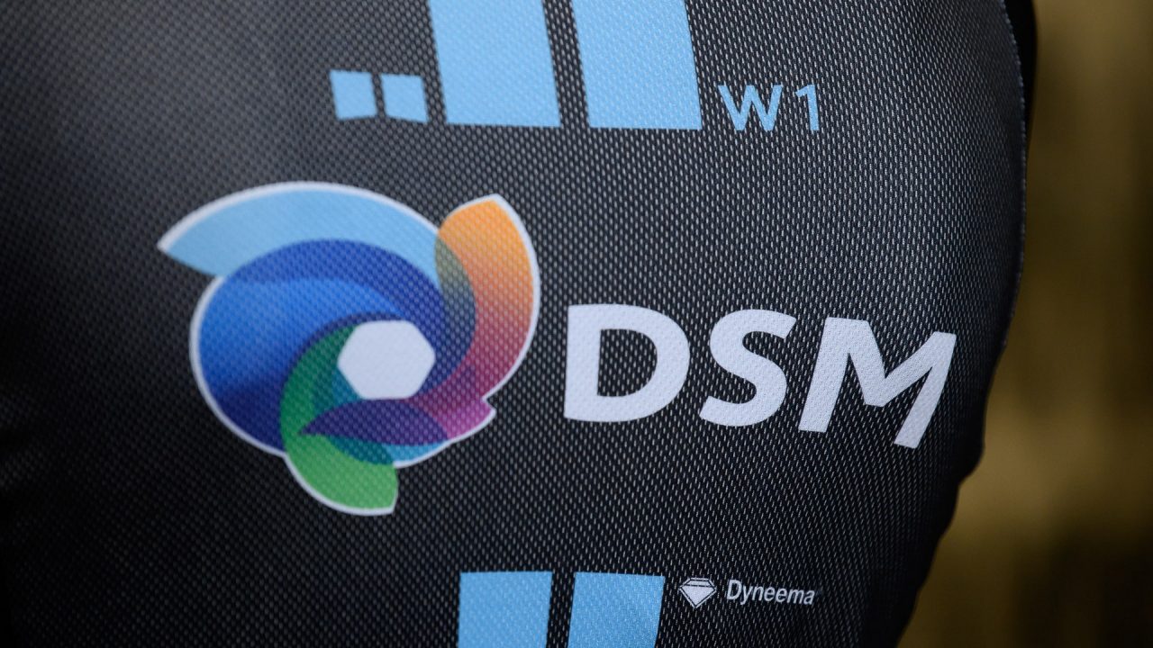 Introducing Team DSM