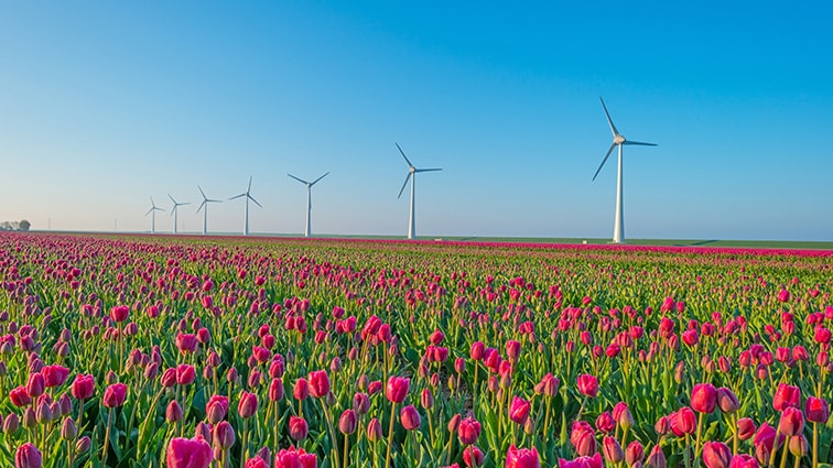 DSM operates on 100% renewable purchased electricity in the Netherlands