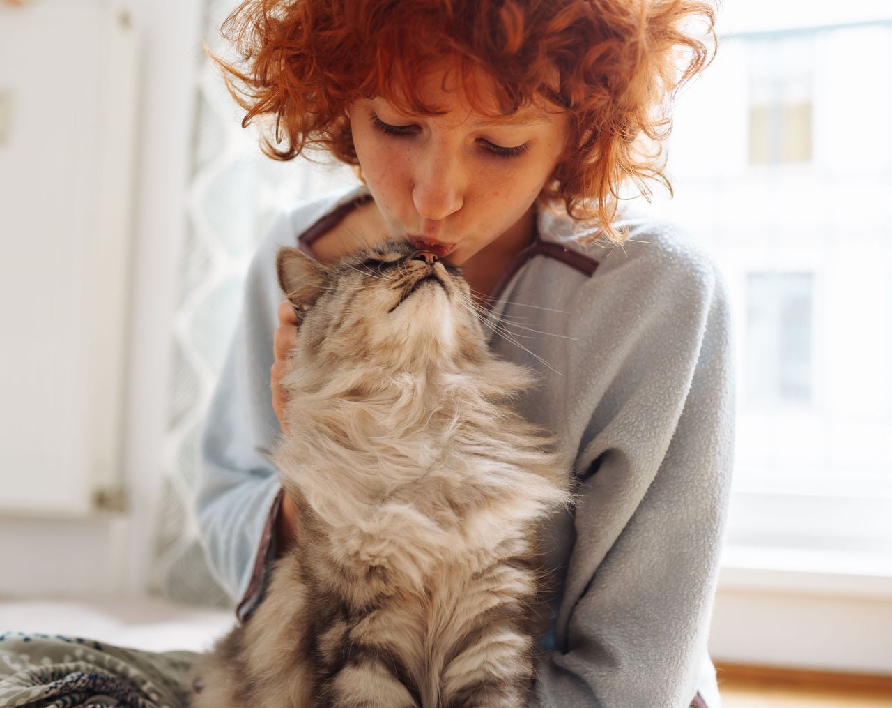 Funny red-haired girl teenager hugs kisses a purring Maine Coon cat, sitting on floor near window at home