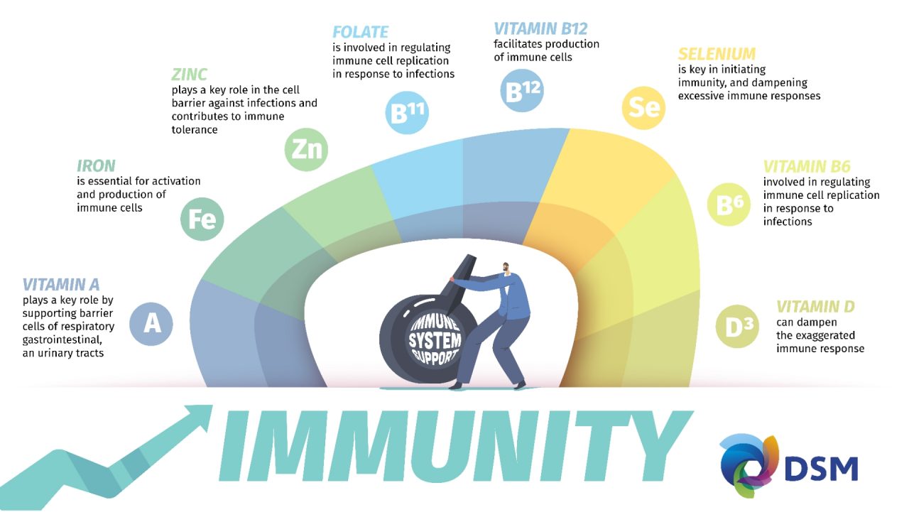 dsm221271_infographic_immunity_1920x1080