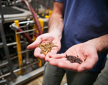 Insights Path to Premium for Beer - Sustainability 