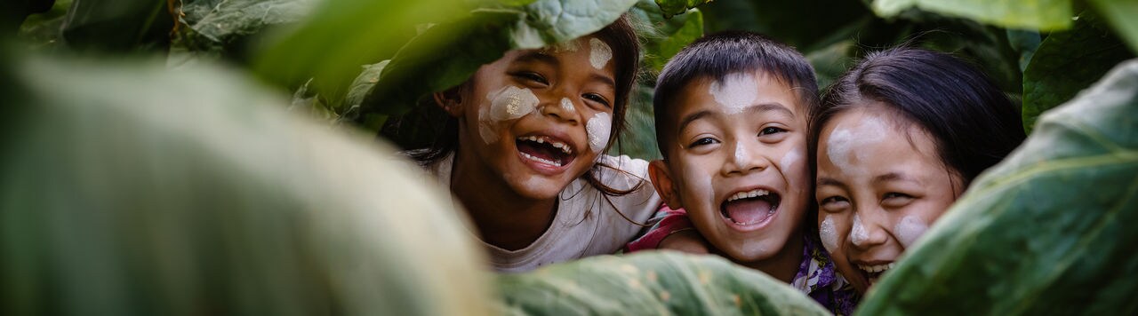 The faces of three Burmese children laughing happily on the tobacco plantation.