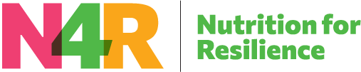 N4R logo 