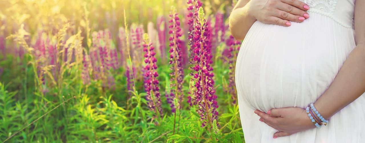 Pregnant woman in a lupine field. Selective focus. nature.