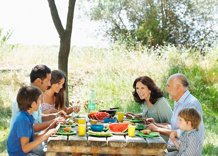 Image of a family enjoying a picnic outdoors.