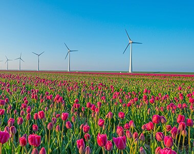 DSM neemt in Nederland 100% duurzame aangekochte elektriciteit af