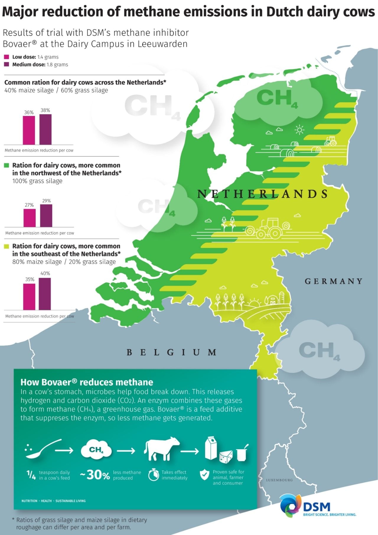 DSMの新たな飼料添加物 オランダでの試験で乳牛の温室効果ガス排出を大幅に削減
