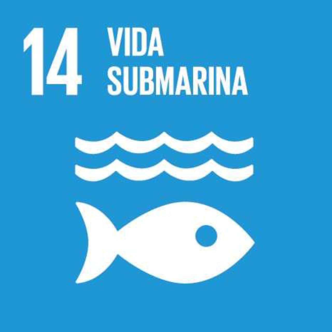 Imagen que representa el ODS número Catorce - La vida en el agua, con un fondo azul y los íconos del agua y los peces.