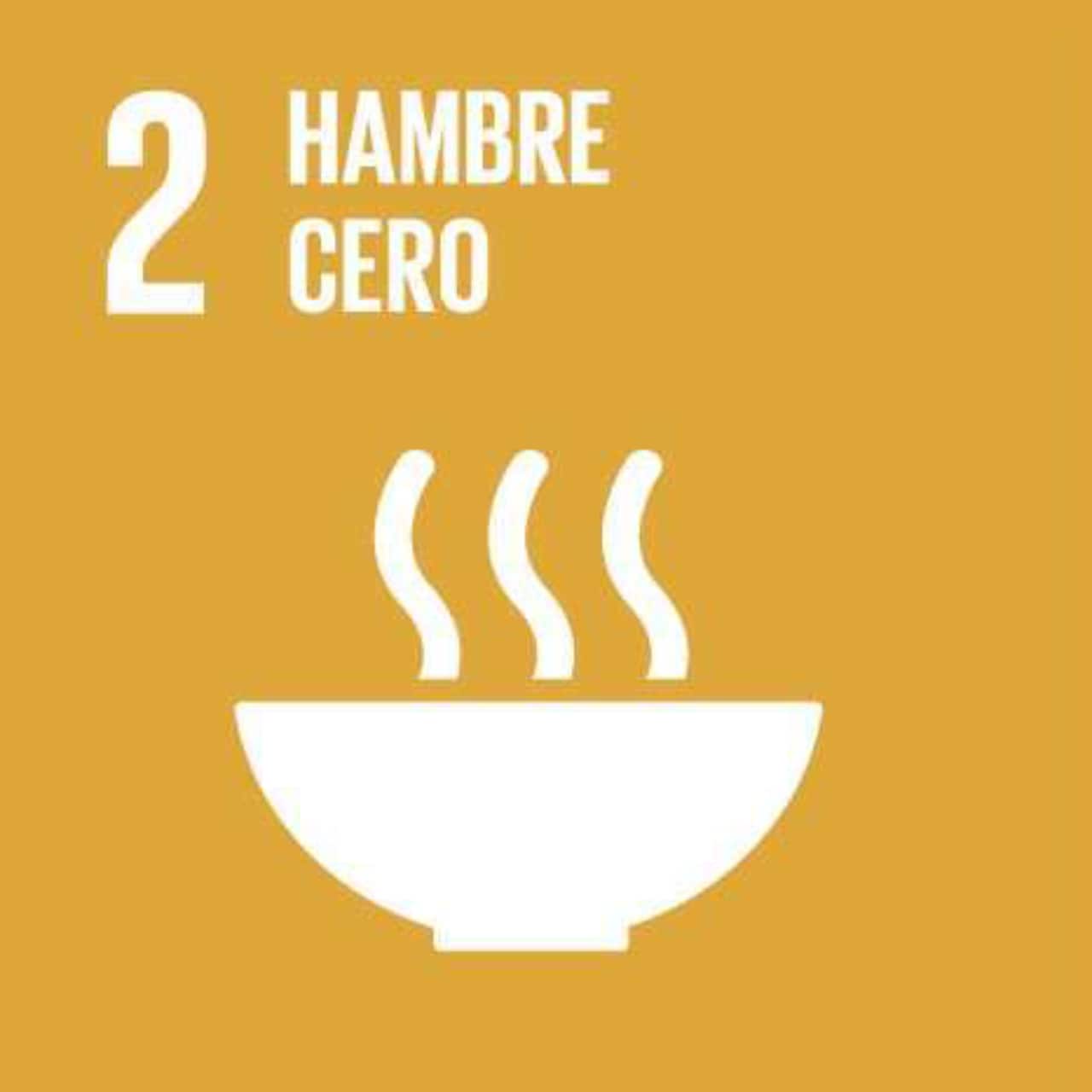 Imagen que representa el ODS número Dos - Hambre Cero y Agricultura Sostenible, con fondo beige y el ícono de un plato de comida.