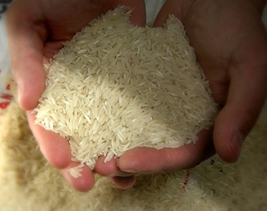 Foto de dos manos unidas sosteniendo una porción de arroz blanco.