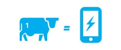 Ícono de un animal bovino con el número uno estampado; a su derecha, hay un signo de igualdad y luego está el ícono de un smartphone.
