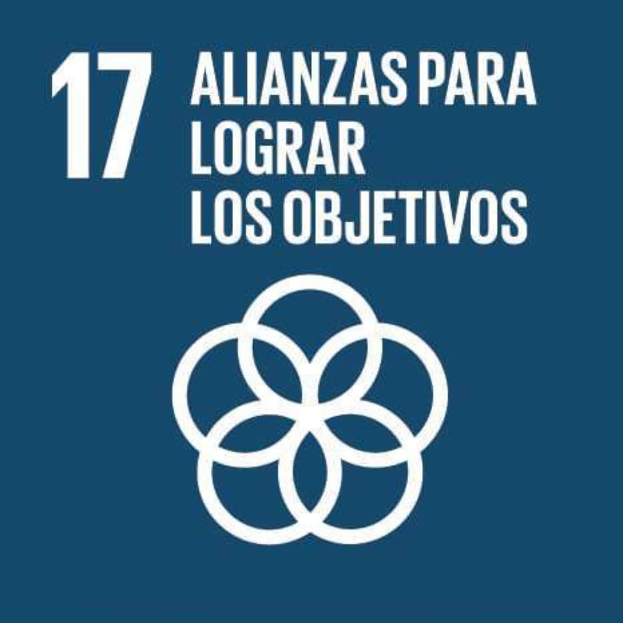 Imagen que representa el ODS número Diecisiete - Alianzas y medios de ejecución, con un fondo azul oscuro y un ícono con círculos interconectados.