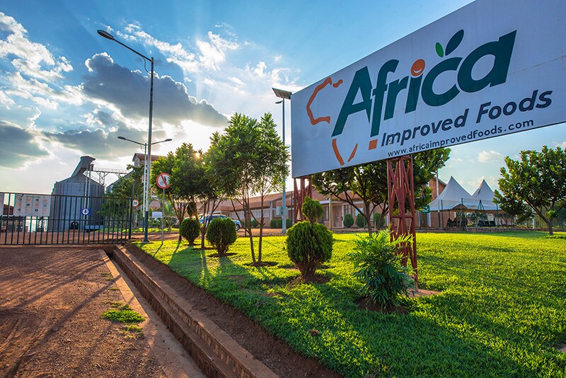 Foto de un cartel publicitario de Africa Improved Foods instalado sobre una zona verde.